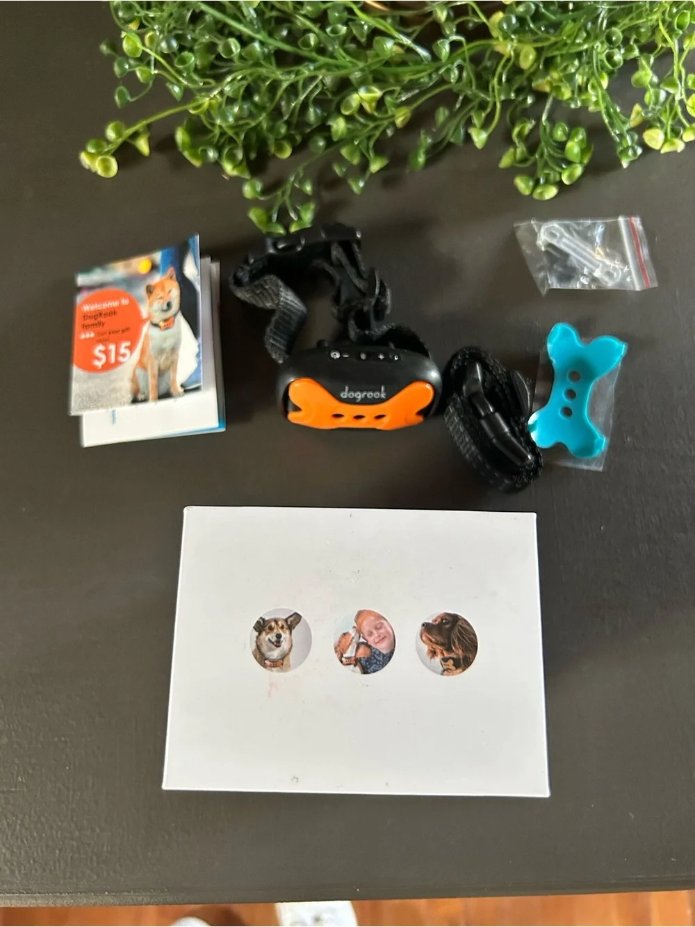 Dogrook Training Shock Collar - Rechargeable Remote Pet Trainer